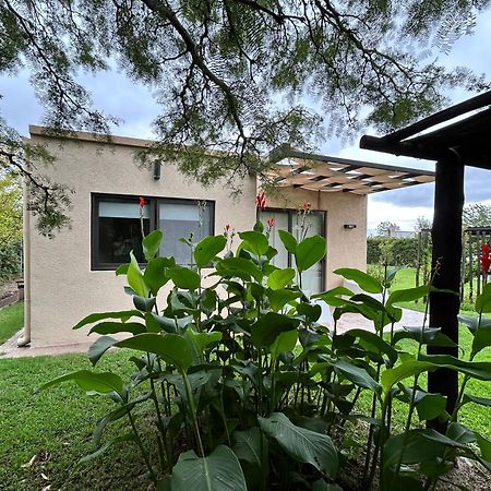 Loft Los Cerezos En Vistalba, Zona De Vinedos Y Bodegas Лухан-де-Куйо Экстерьер фото