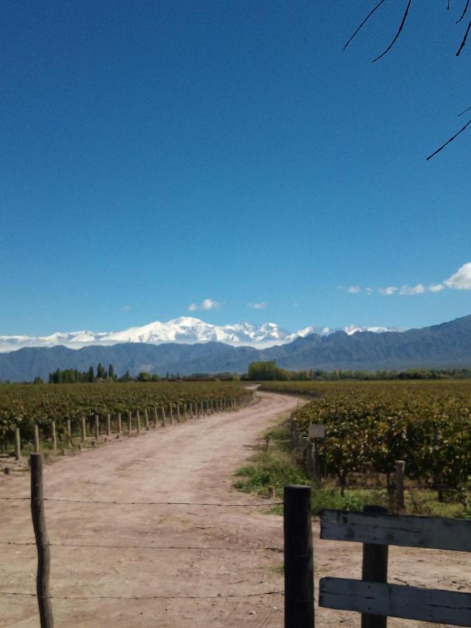 Loft Los Cerezos En Vistalba, Zona De Vinedos Y Bodegas Лухан-де-Куйо Экстерьер фото