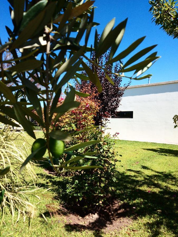 Loft Los Cerezos En Vistalba, Zona De Vinedos Y Bodegas Лухан-де-Куйо Экстерьер фото