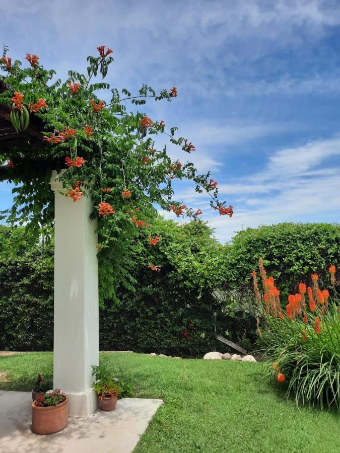 Loft Los Cerezos En Vistalba, Zona De Vinedos Y Bodegas Лухан-де-Куйо Экстерьер фото